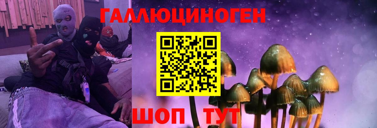 Каменск-Уральский  Галлюциногенные грибы Psilocybe  Вход с VPN 